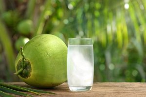 peluang usaha olahan kelapa