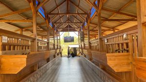 biaya usaha ternak kambing