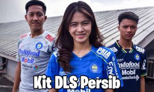 kit dls persib