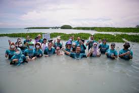 contoh pengeluaran csr